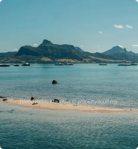 Villa Tropicale 3 Chambres à Vendre à Pointe d’Esny Le Village