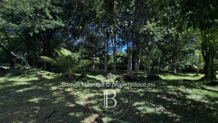 BAMBOU - Modern Villa - 4 Bedrooms