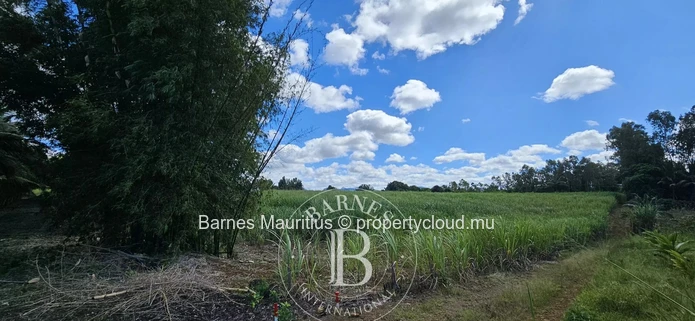 2 Bras - Terrain Agricole - 31 Arpents
