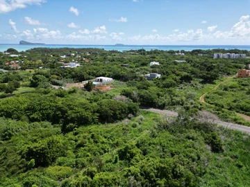 Commercial Land
