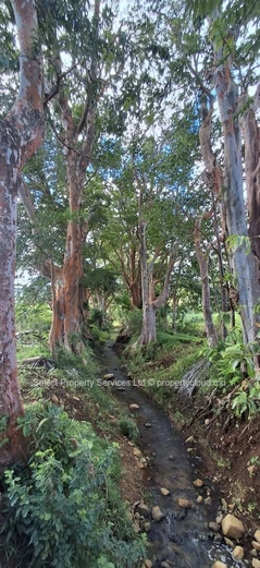Resale Residential Project | Ferney Farm Living | Agro-Residential land plots available in Ferney