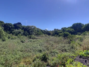 Agricultural land of 52 perches