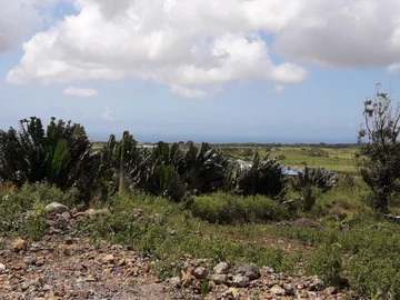 Agricultural Land