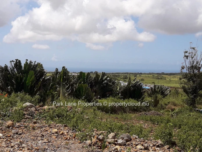 Land with wonderful nature view