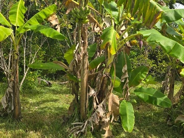 Residential Land