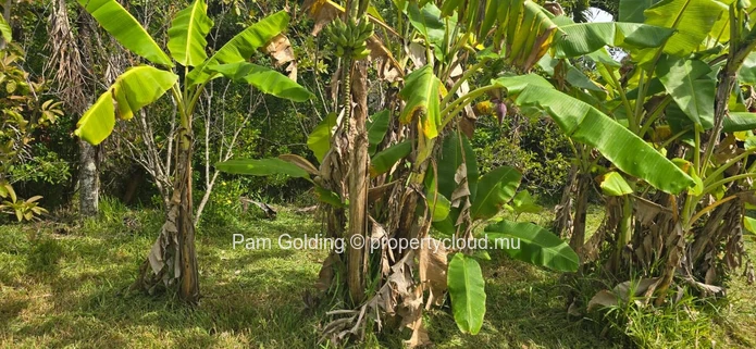 Piton – Land for sale – Pam Golding Mauritius