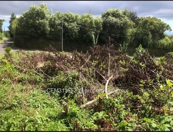 44,99 Perches Terrain Résidentiel à Vendre – Route Trou aux Cerfs, Curepipe