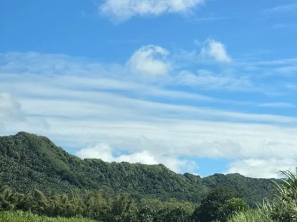 Terrain Agricole