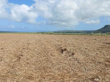 Agricultural Land
