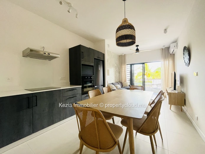 Contemporary Apartment
