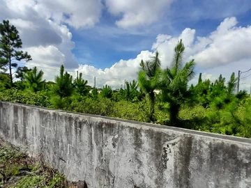 Residential Land