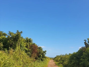 Agricultural Land