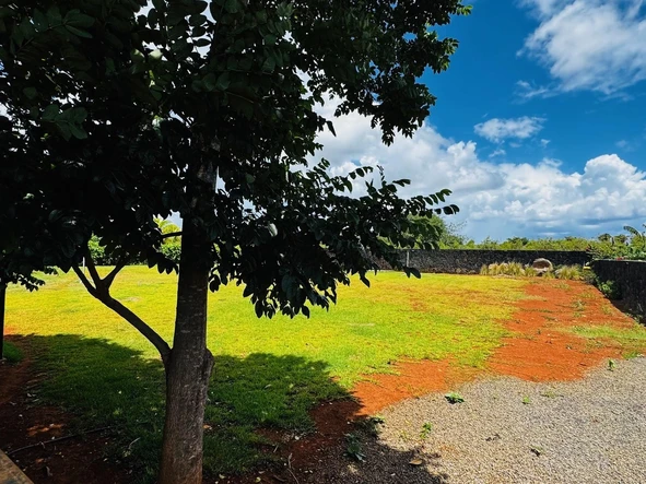 Terrain