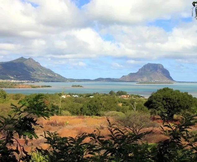 Spacious 1,640m² Land for Sale in Rivière Noire, Open to Non-Mauritians