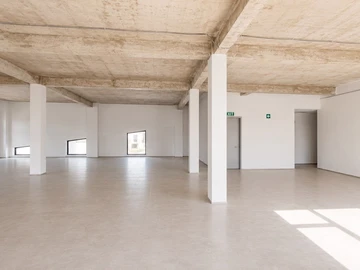 Immobilier Commerciaux