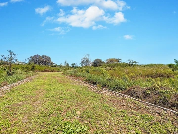 Terrain