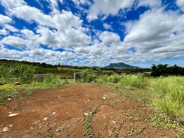 Terrain