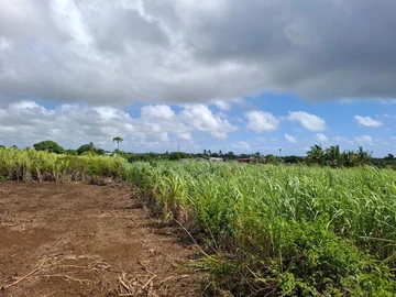 Residential Land