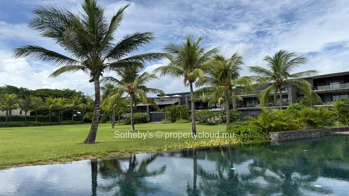 The Palmview