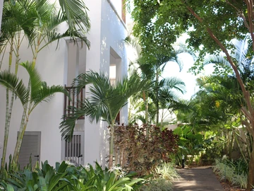 2 Bedroom Penthouse