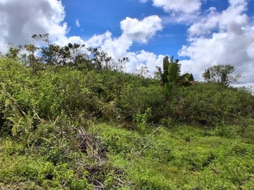 Terrain Agricole