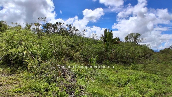 A vast plot of land, thousands of possibilities — 36,332 m² in L'Espérance