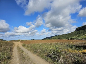 Agricultural Land