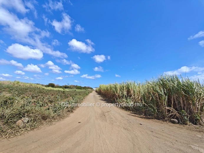 FOR SALE – RESIDENTIAL LAND IN MONT MASCAL – NORTH Located in a highly sought-after area, this residential plot in Mo...