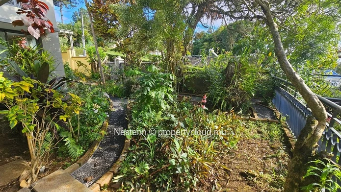 Spacious and comfortable family home
