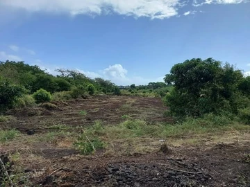 Terrain Résidentiel