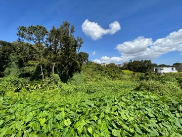 Residential Land