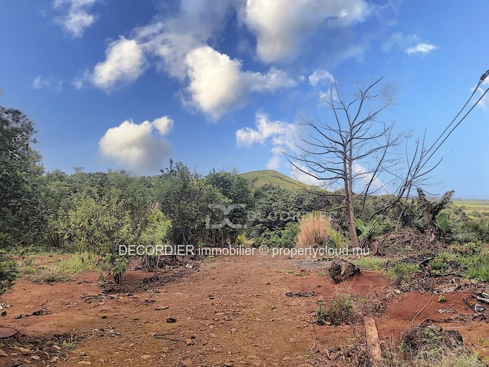 Agricultural land near Savanne river. (Sole Mandate)