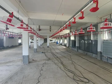 Commercial Property