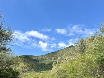 Land