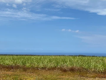 Terrain