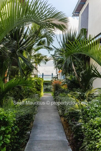 Sunsets, Serenity, Supreme Seaside Luxury