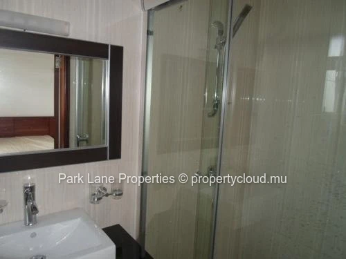 Semi furnished penthouse apartment