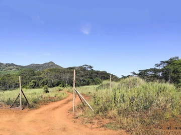 Land