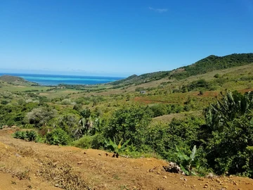 Terrain Agricole