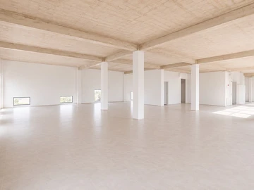 Immobilier Commerciaux