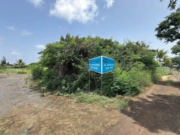 Land