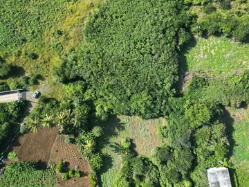 Residential Land