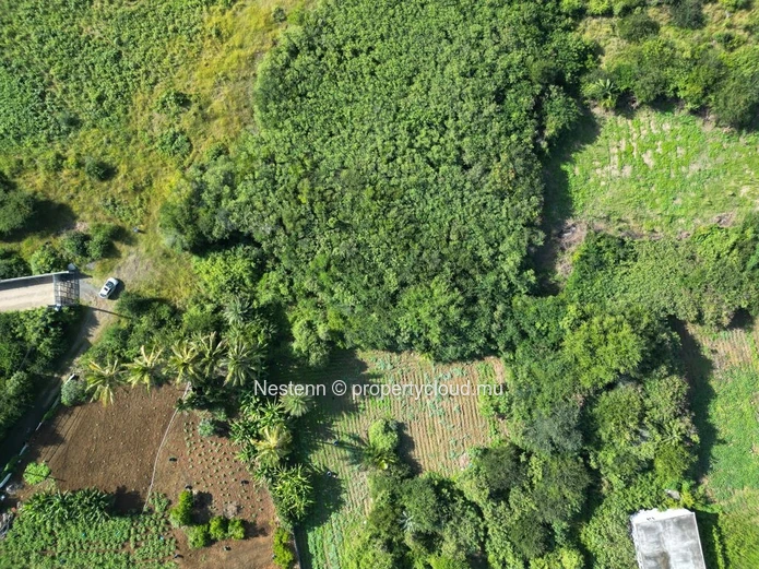 Terrain exceptionnel de 675,35 m² 