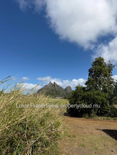 AGRICULTURAL LAND FOR SALE – Vacoas La Caverne