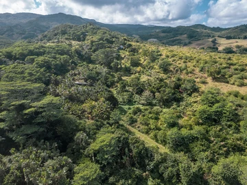 Terrain Agricole