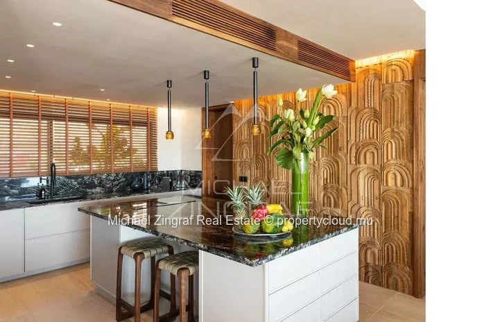 Exceptional Penthouse – Rivière Noire