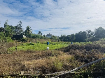 Terrain
