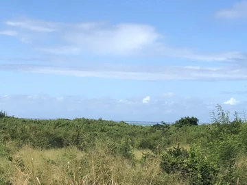 Agricultural Land