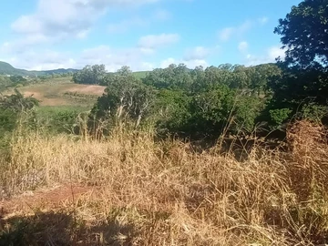Terrain Agricole