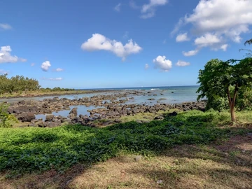 Commercial Land